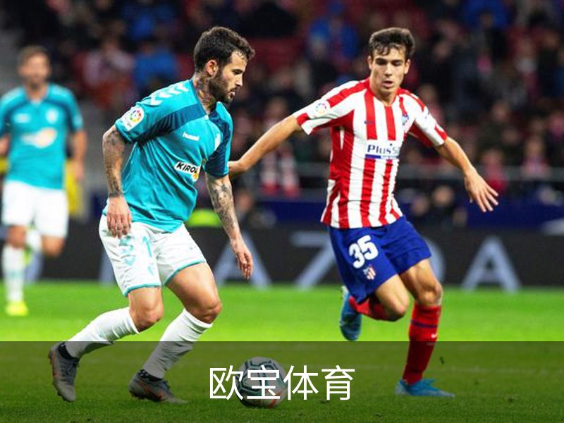欧宝体育（中国）官方网站-体育系统平台-OUBAO SPORTS
